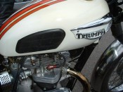 Triumph in white 