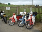 Honda C90 Owners Club